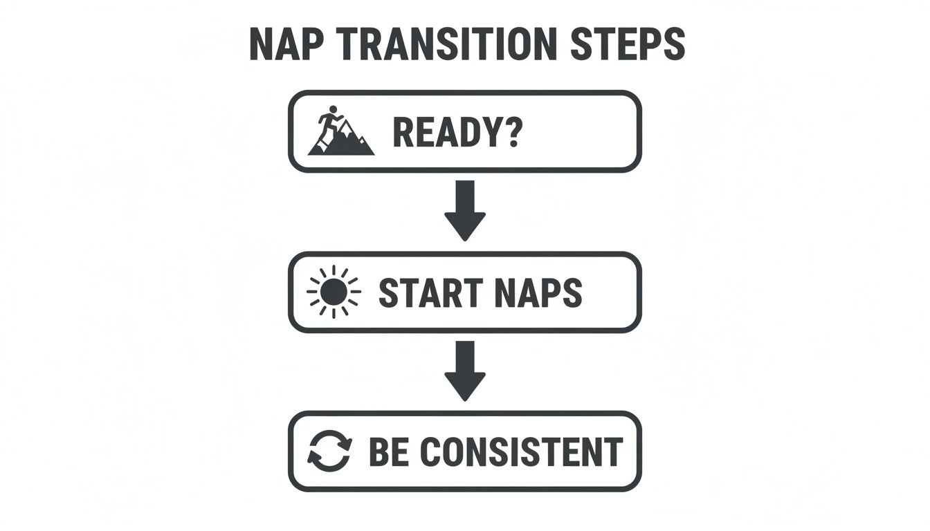 A flowchart with three steps for nap transition: Ready, Start Naps, and Be Consistent.