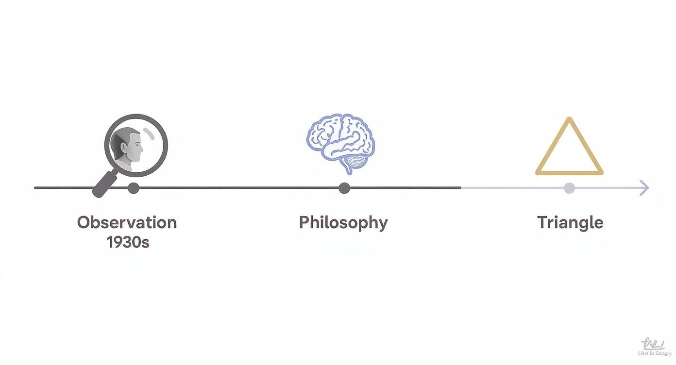 Infographic about pikler triangle age
