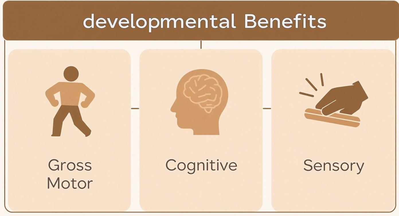 Infographic showing developmental benefits including gross motor, cognitive, and sensory skills for children