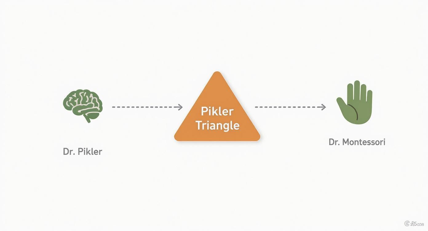 Diagram illustrating the connection between Dr. Pikler (brain) and Dr. Montessori (hand) through a Pikler Triangle.