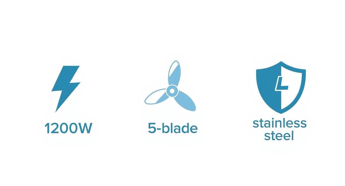 Infographic about best blenders for smoothies