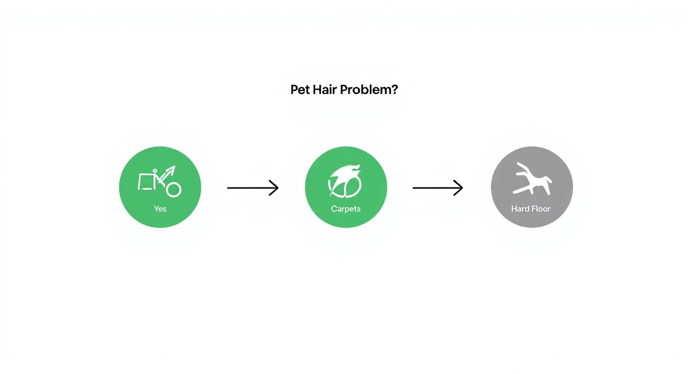 Infographic about best vacuum for pet hair