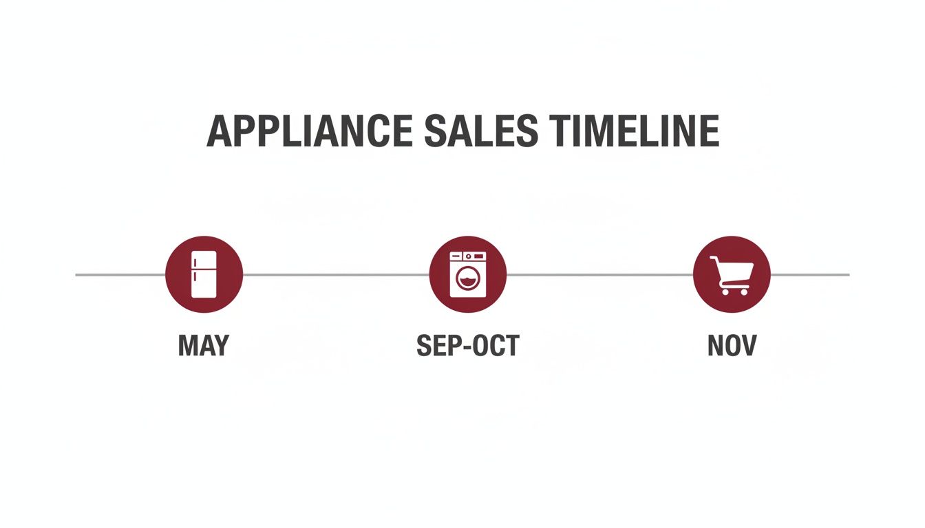 An appliance sales timeline showing the best months to buy refrigerators, washing machines, and other appliances.