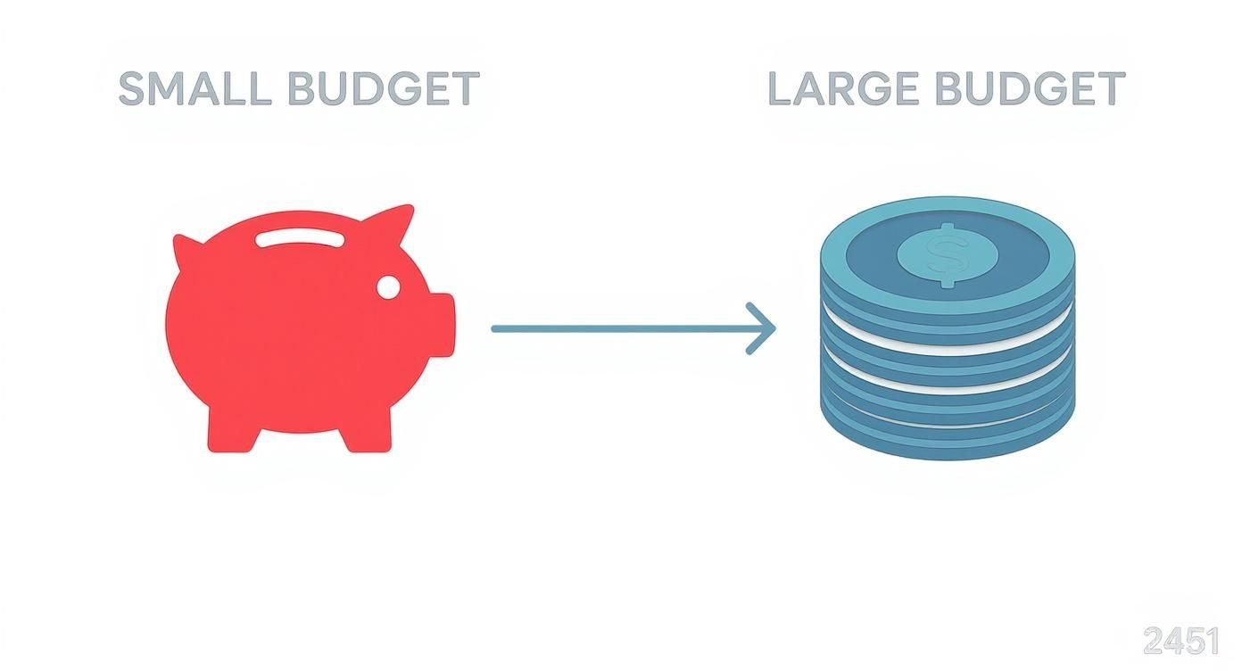 Red piggy bank labeled 'SMALL BUDGET' with an arrow pointing to a stack of coins labeled 'LARGE BUDGET'.
