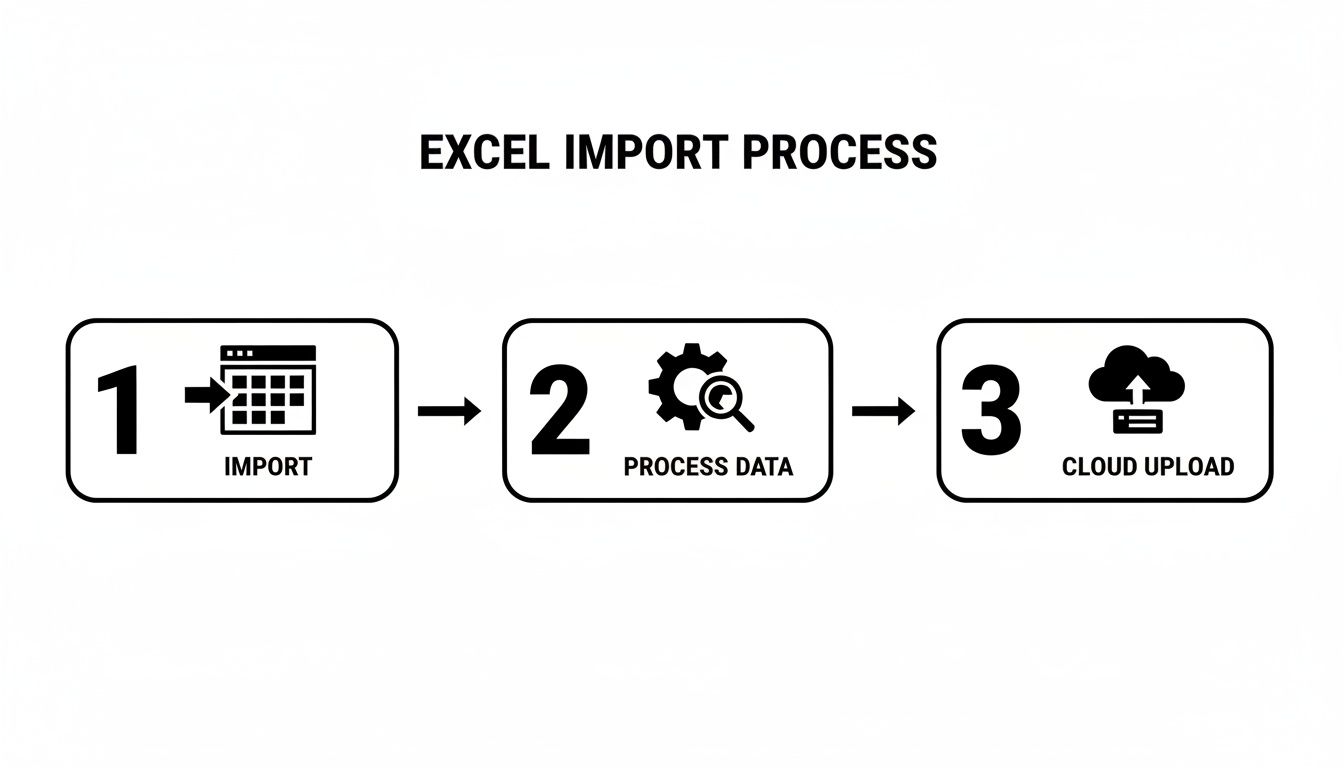 Diagram showing the Excel import process flow with steps: Import, Process Data, Cloud Upload.