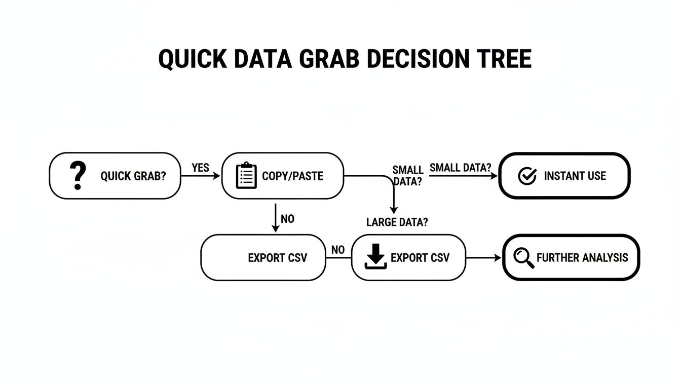 A quick data grab decision tree flowchart illustrating steps for data export and analysis.
