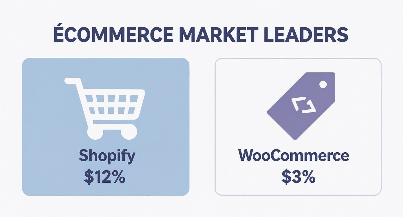 Infographic about ecommerce platforms comparison