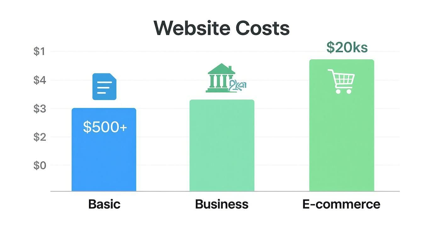 Infographic about website design costing