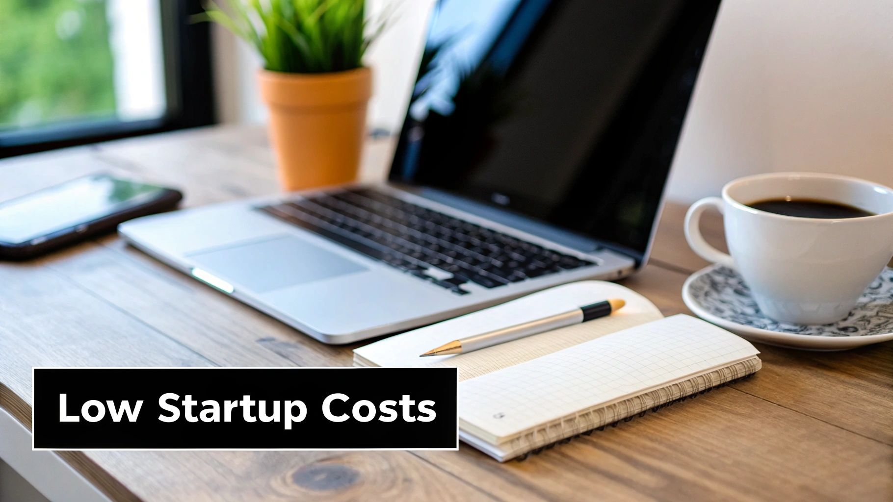 Low Startup Costs and Financial Risk