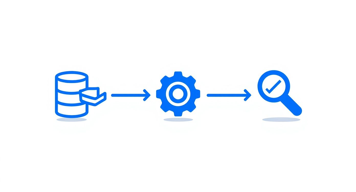 Infographic about small business web management