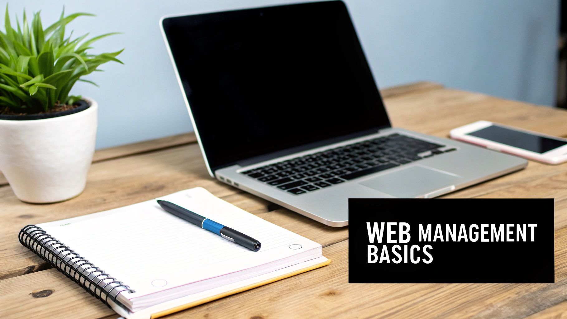 A person working on a laptop, surrounded by icons representing different aspects of website management like security shields and performance charts.