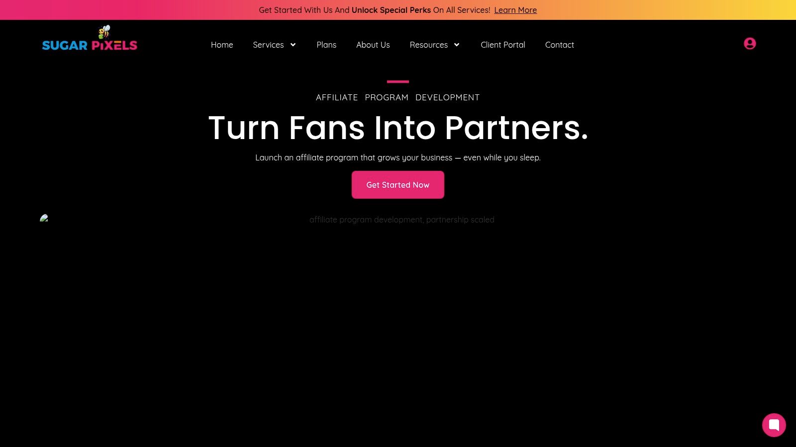 Affiliate Program Development