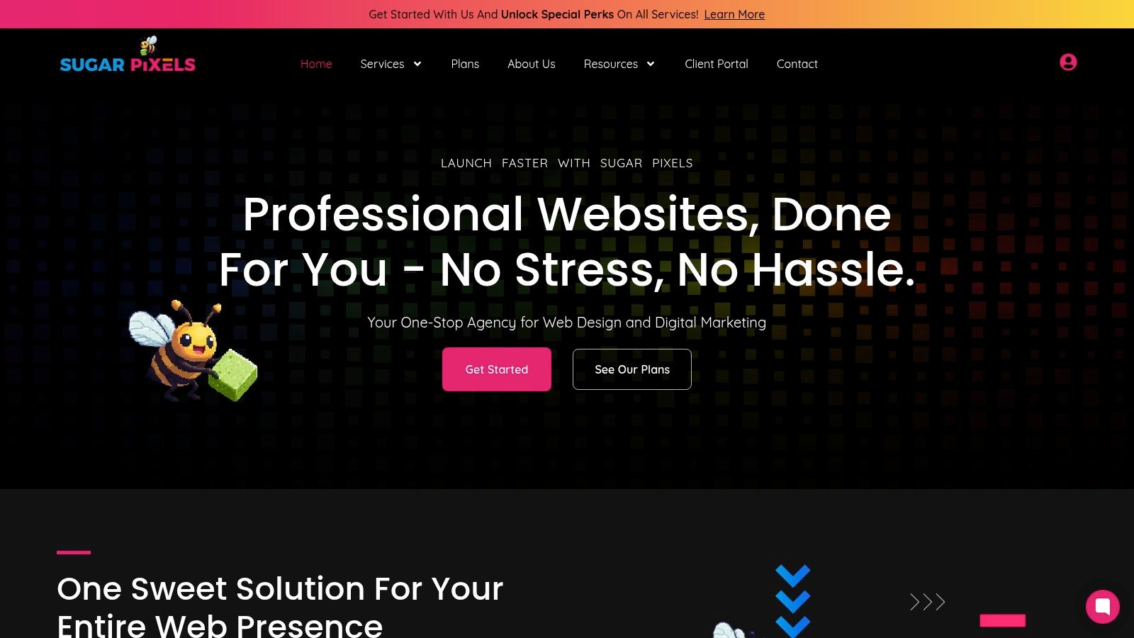 Website Support & Hosting