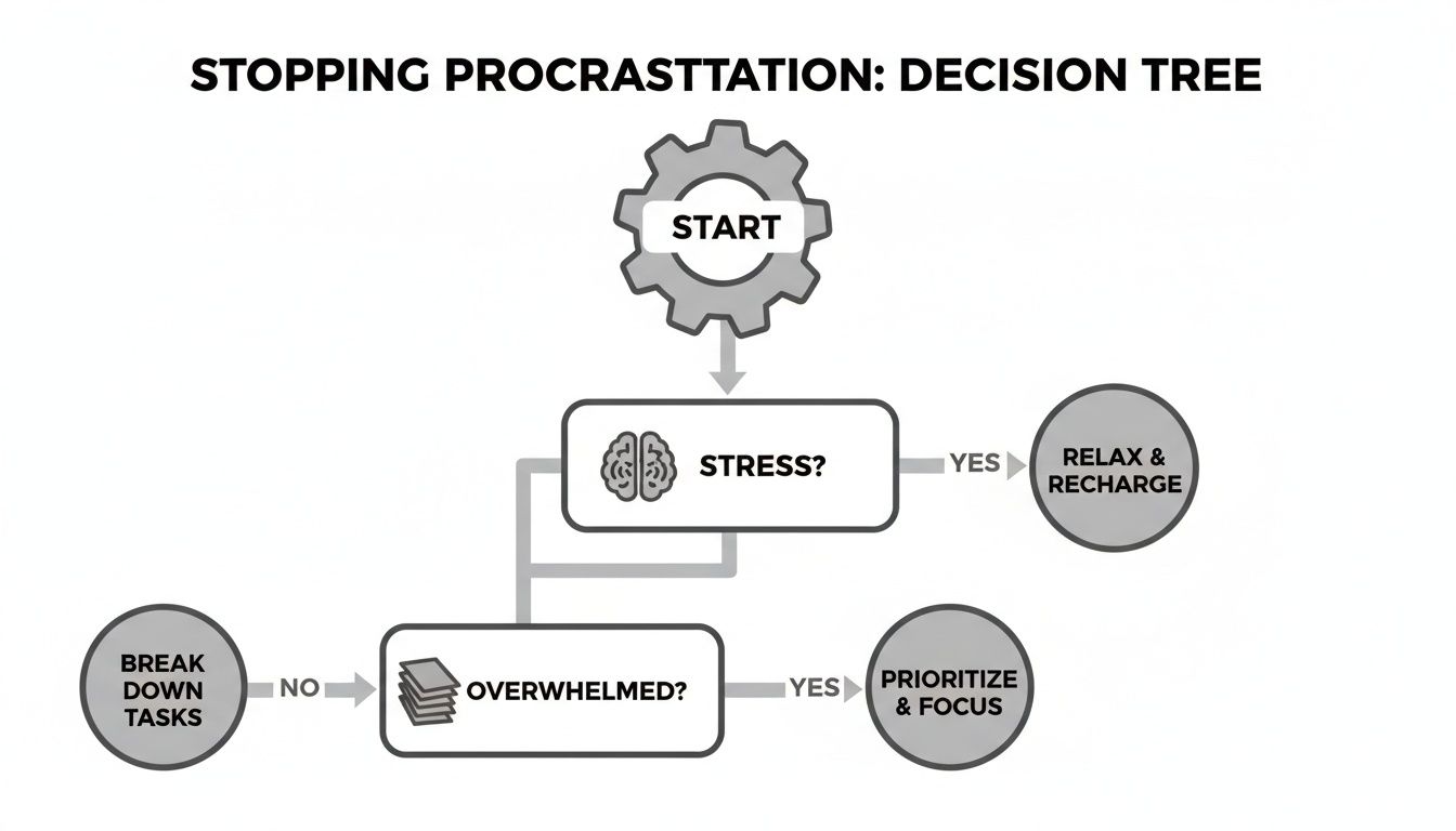 A decision tree flowchart illustrating steps to overcome procrastination by managing stress and overwhelm.