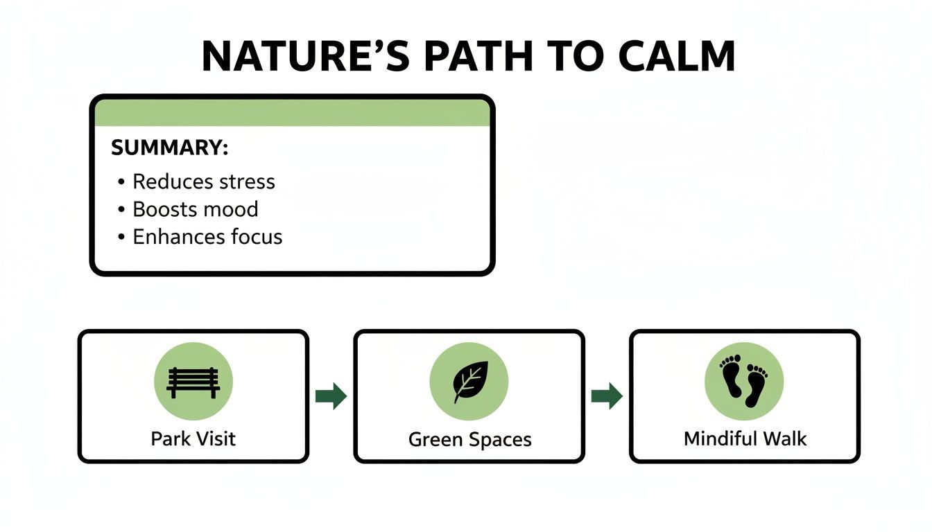 Infographic showing nature's path to calm: park visits, green spaces, and mindful walks reduce stress.