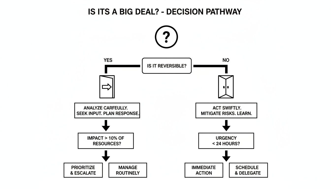 Flowchart illustrating a decision pathway for determining if a situation is a big deal.