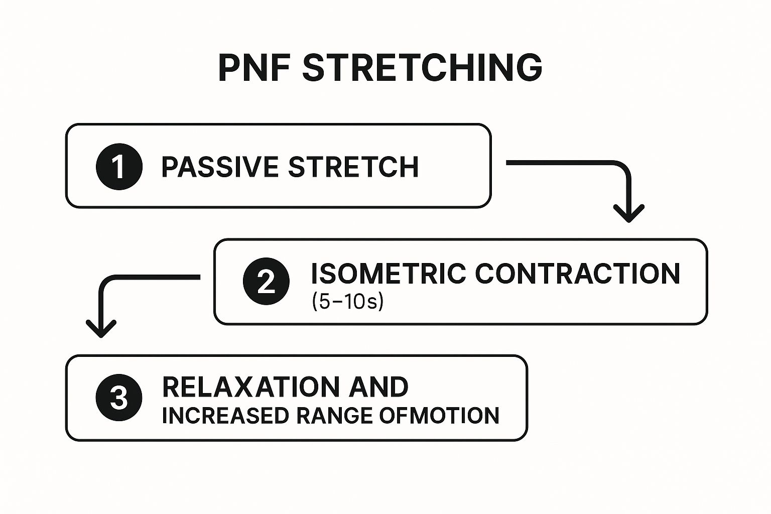 Infographic showing key data about PNF (Proprioceptive Neuromuscular Facilitation) Stretching