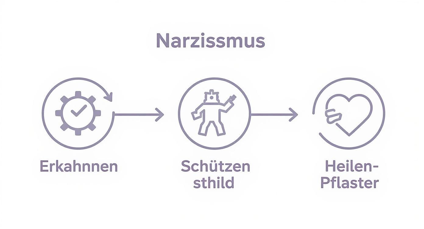 Grafik zum umgang mit narzissmus: erkennen, schützen und heilen als prozess dargestellt.