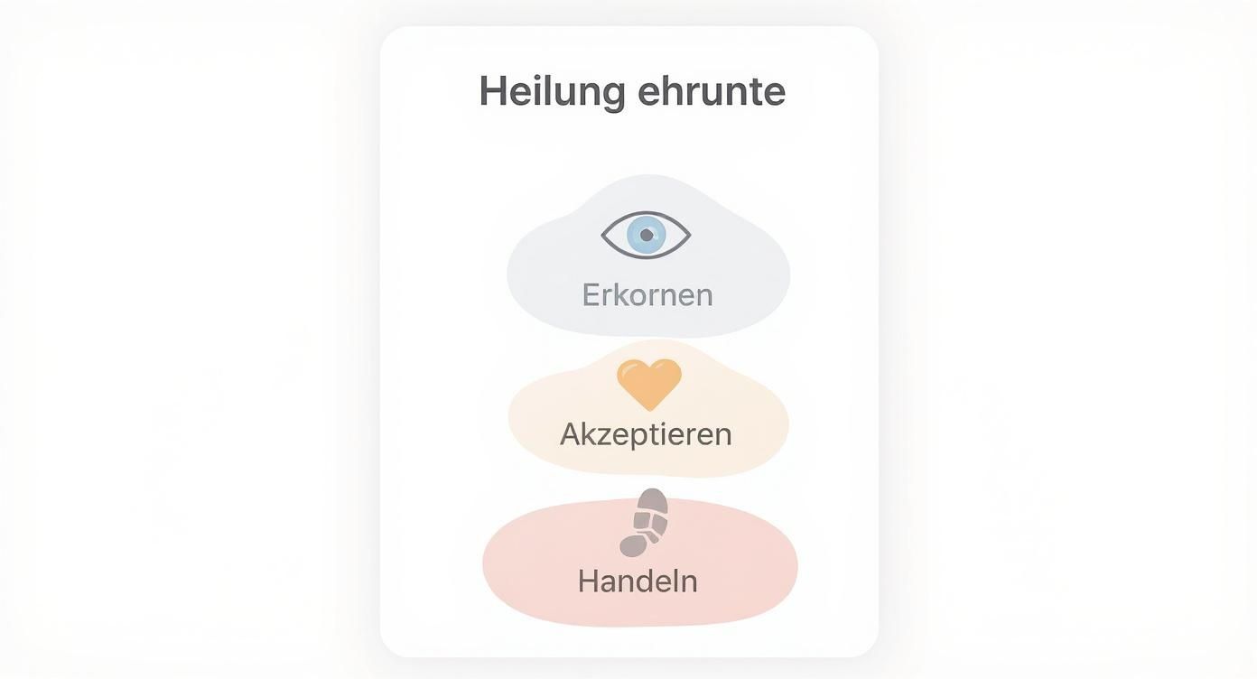 Infografik mit den schritten erkennen, akzeptieren und handeln als startpunkt der heilung.