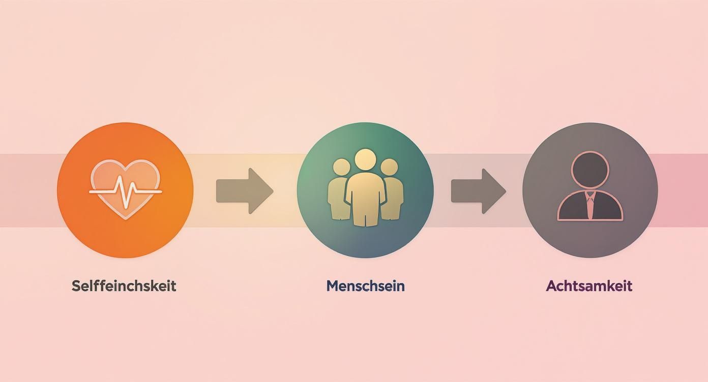 Flussdiagramm: von selbstmitgefühl (herz) über menschsein (gruppe) zu achtsamkeit (einzelperson).