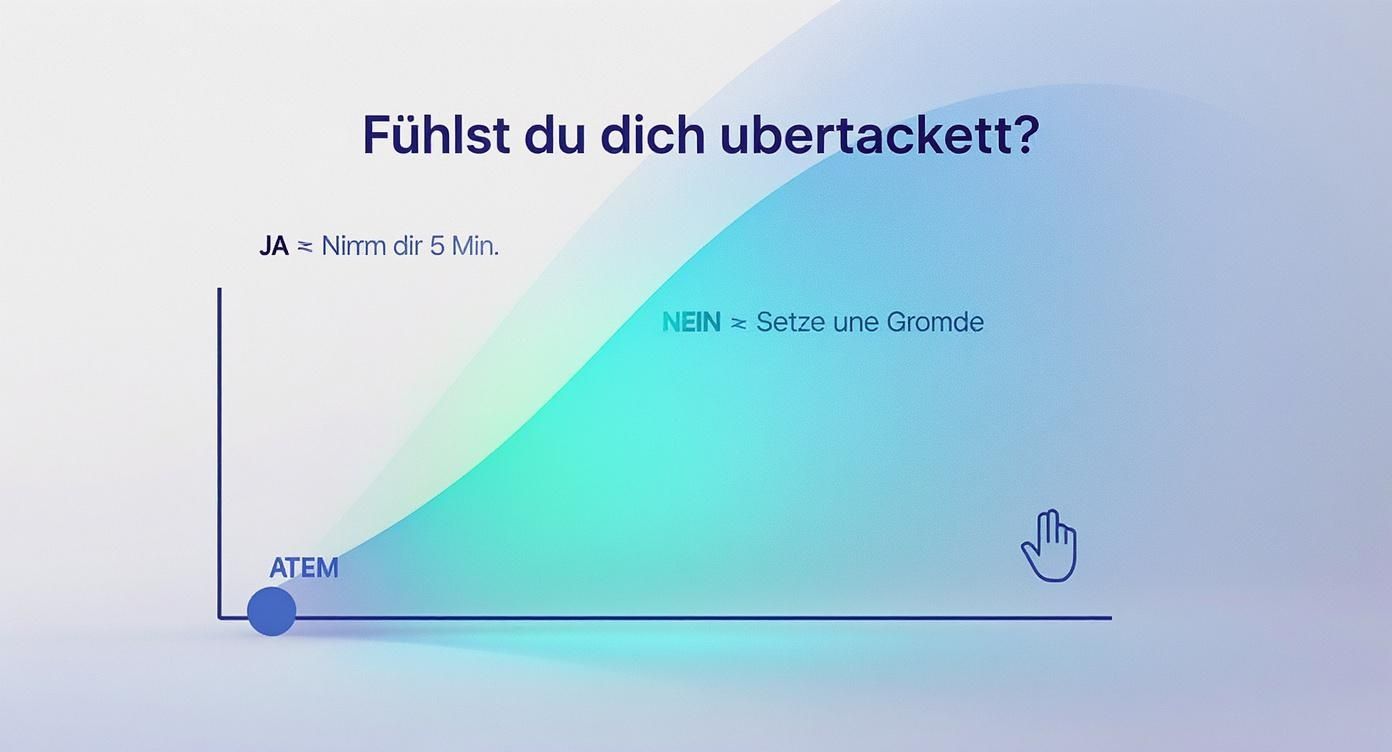 Infografik, die einen entscheidungsbaum zeigt: die frage 'fühlst du dich überfordert? ' führt zu zwei optionen. 'ja' führt zu einem atem-icon mit dem text 'nimm dir 5 min. ', und 'nein' führt zu einem stopp-hand-icon mit dem text 'setze eine grenze'.
