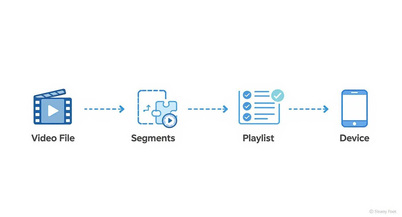 Infographic about what is hls streaming