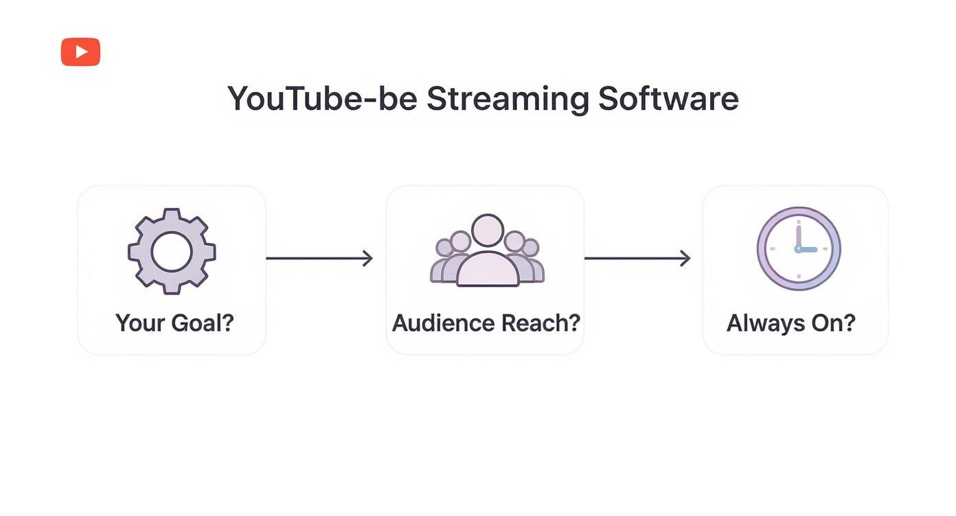 Infographic about software for youtube live streaming