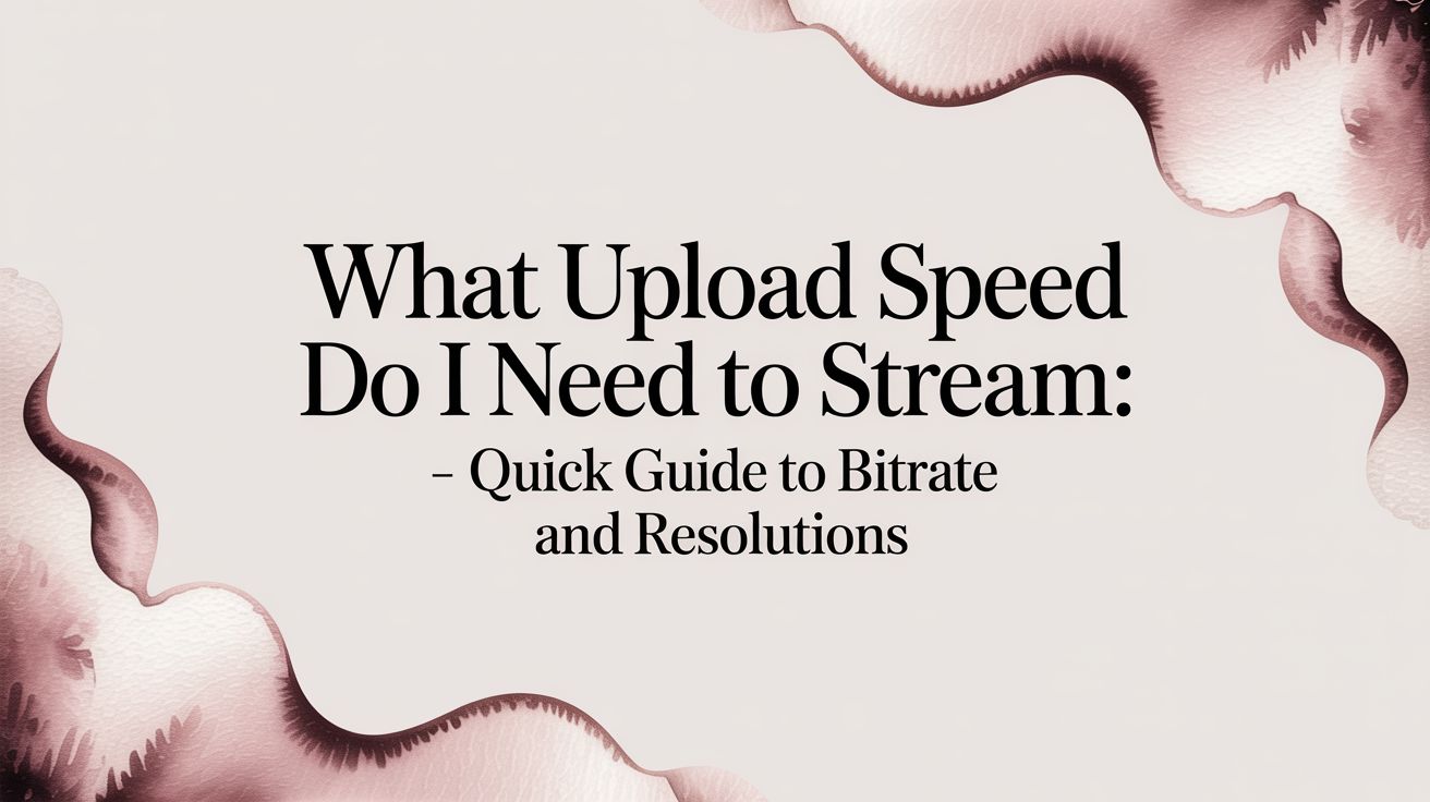 What Upload Speed Do I Need to Stream: A Guide for 24/7 Broadcasters