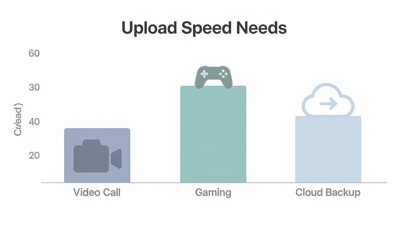 Screenshot from https://www.speedtest.net/