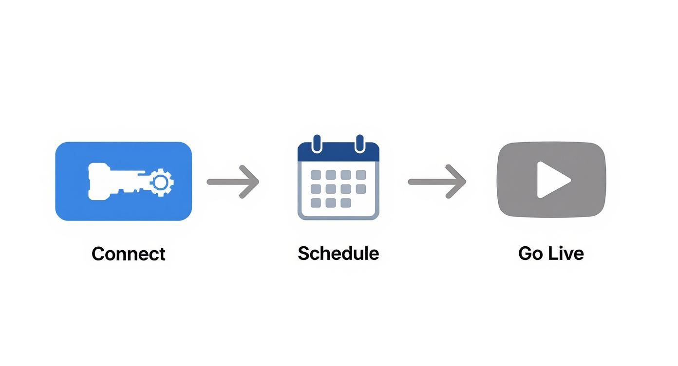 Infographic showing the process flow for a polished live stream, with icons for connect, schedule, and go live.
