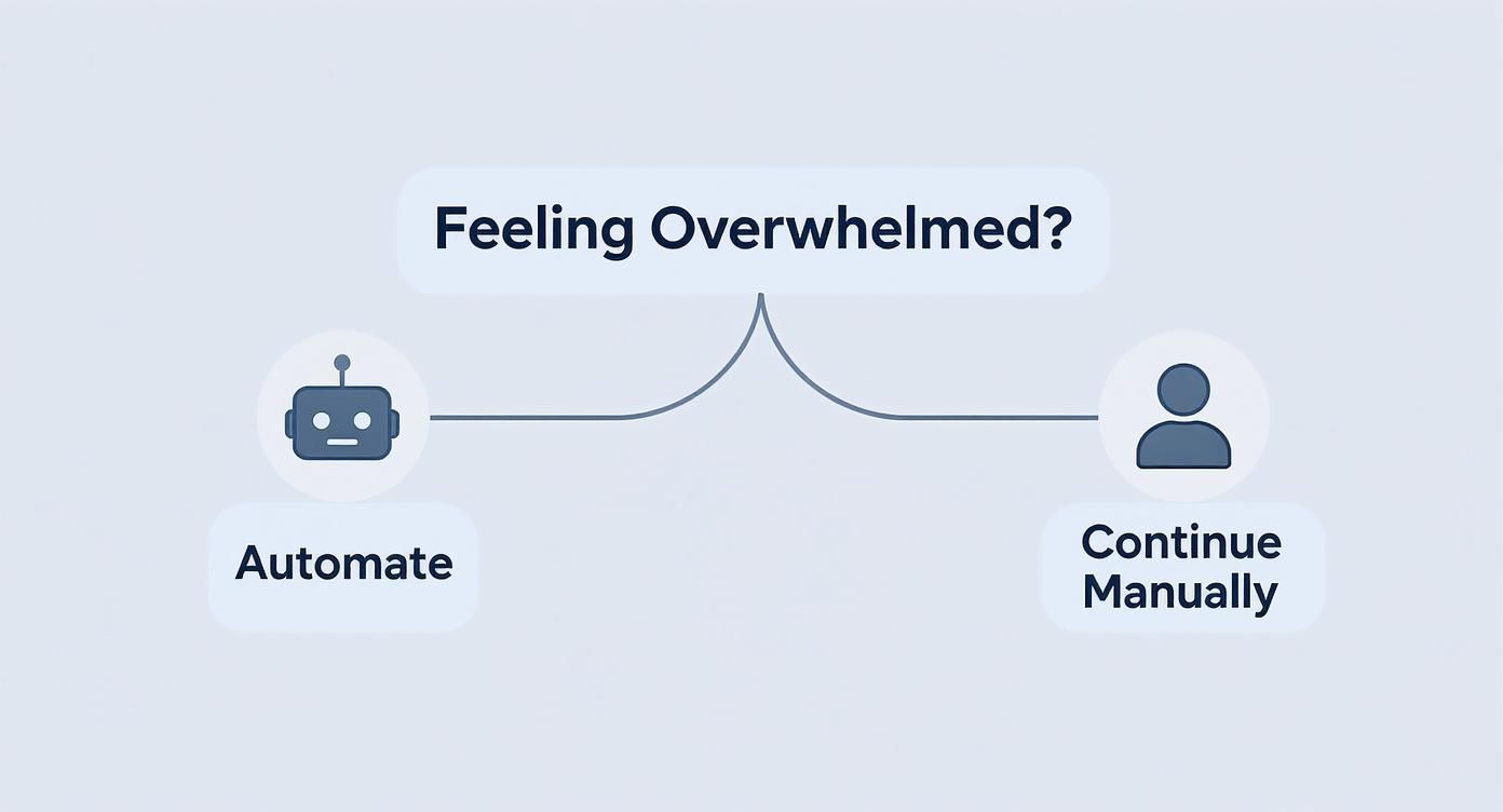 Infographic about how to automate social media posts