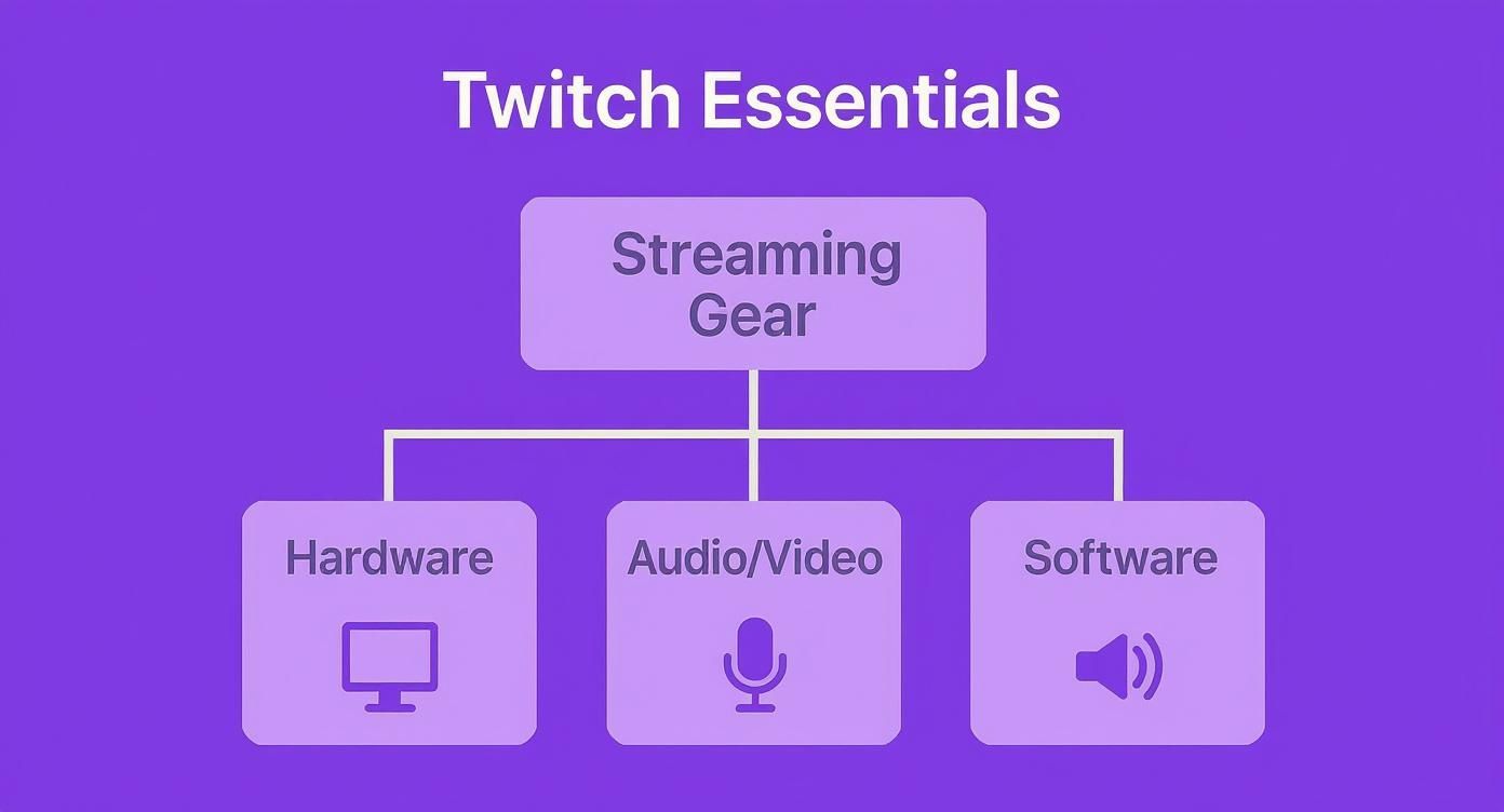 Infographic about what do you need to twitch stream