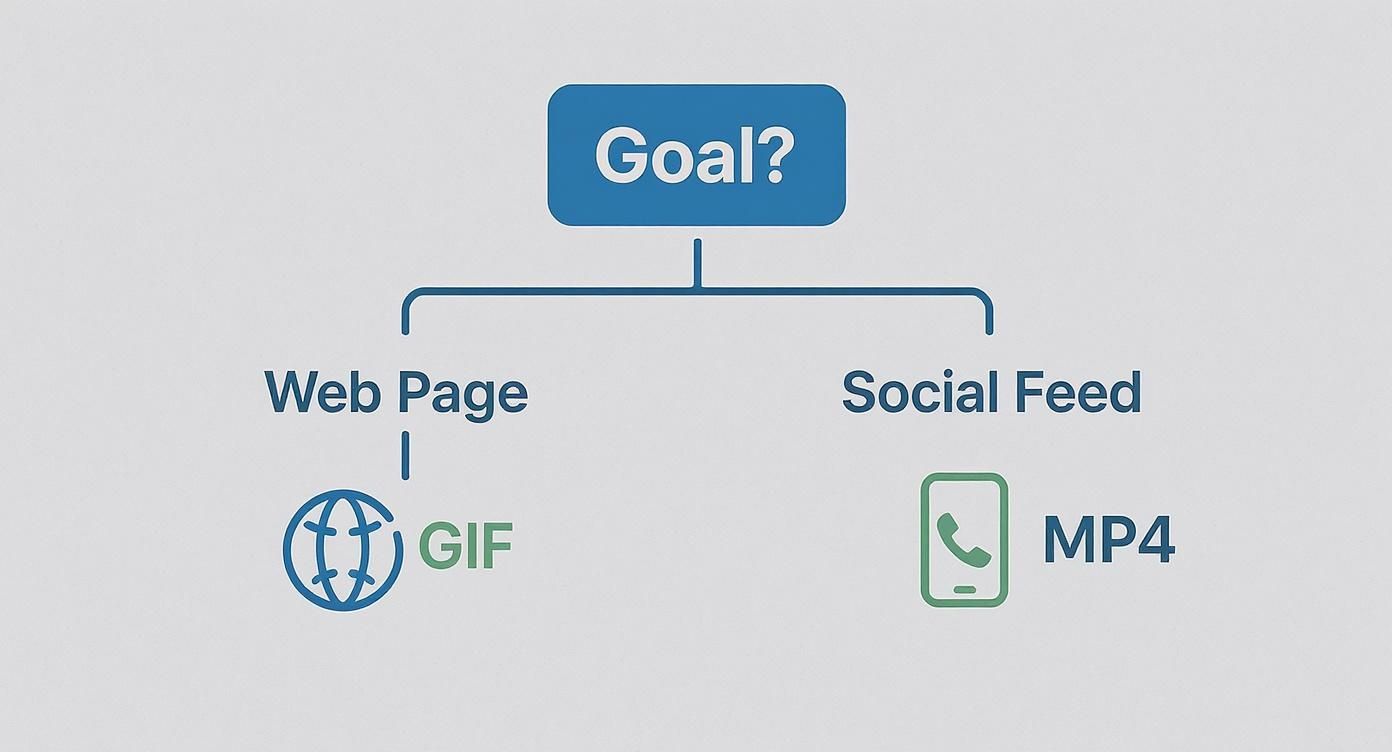 Infographic showing a decision tree for video formats. The central question 'Goal?' branches to 'Web Page,' which leads to 'GIF,' and 'Social Feed,' which leads to 'MP4.'