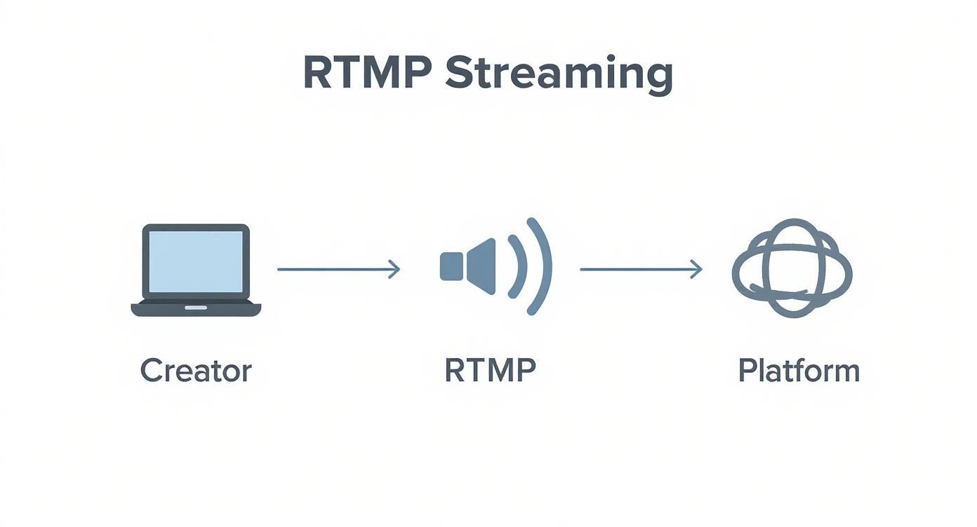 Infographic about what is rtmp