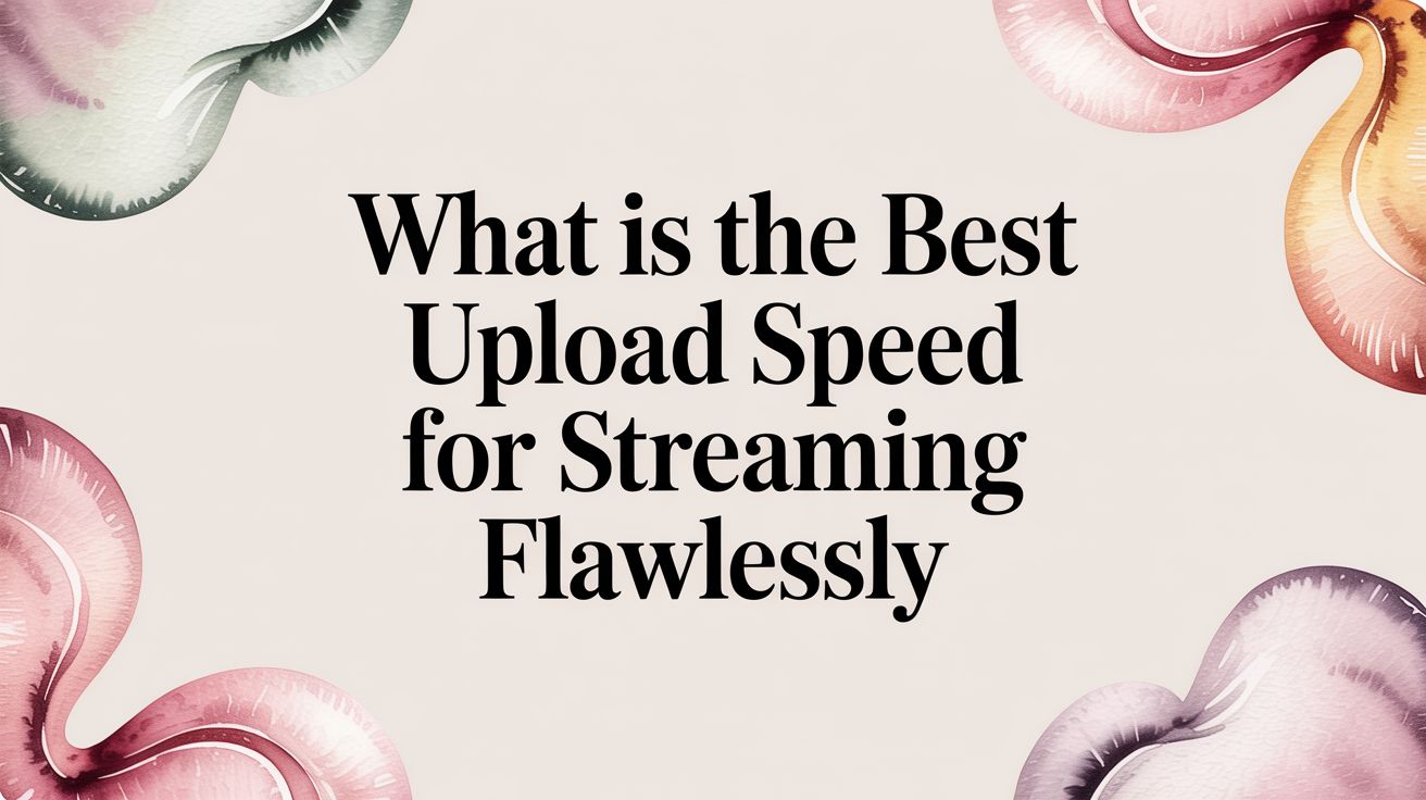 What Is the Best Upload Speed for Streaming Flawlessly