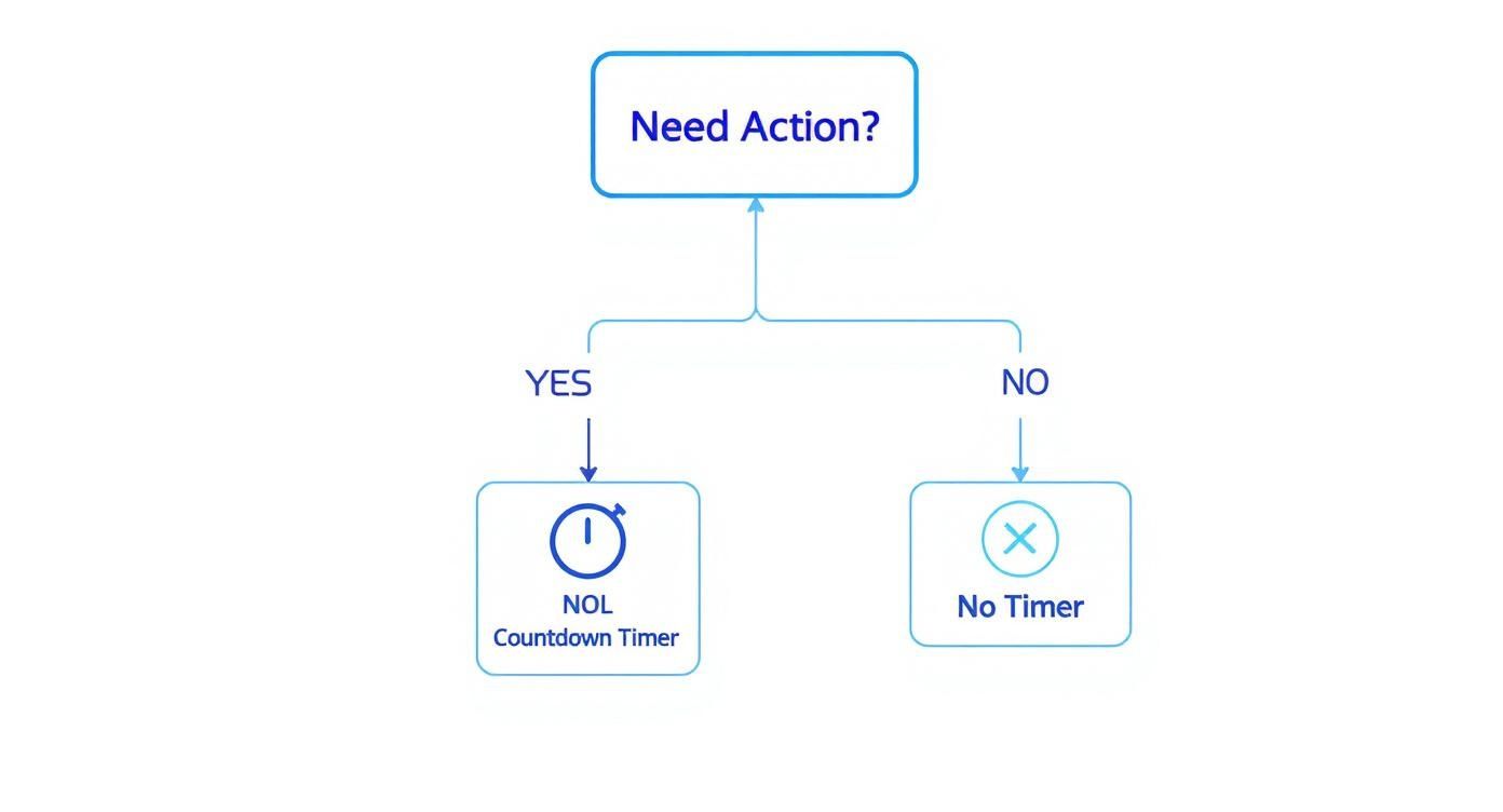 Infographic about free website countdown timer