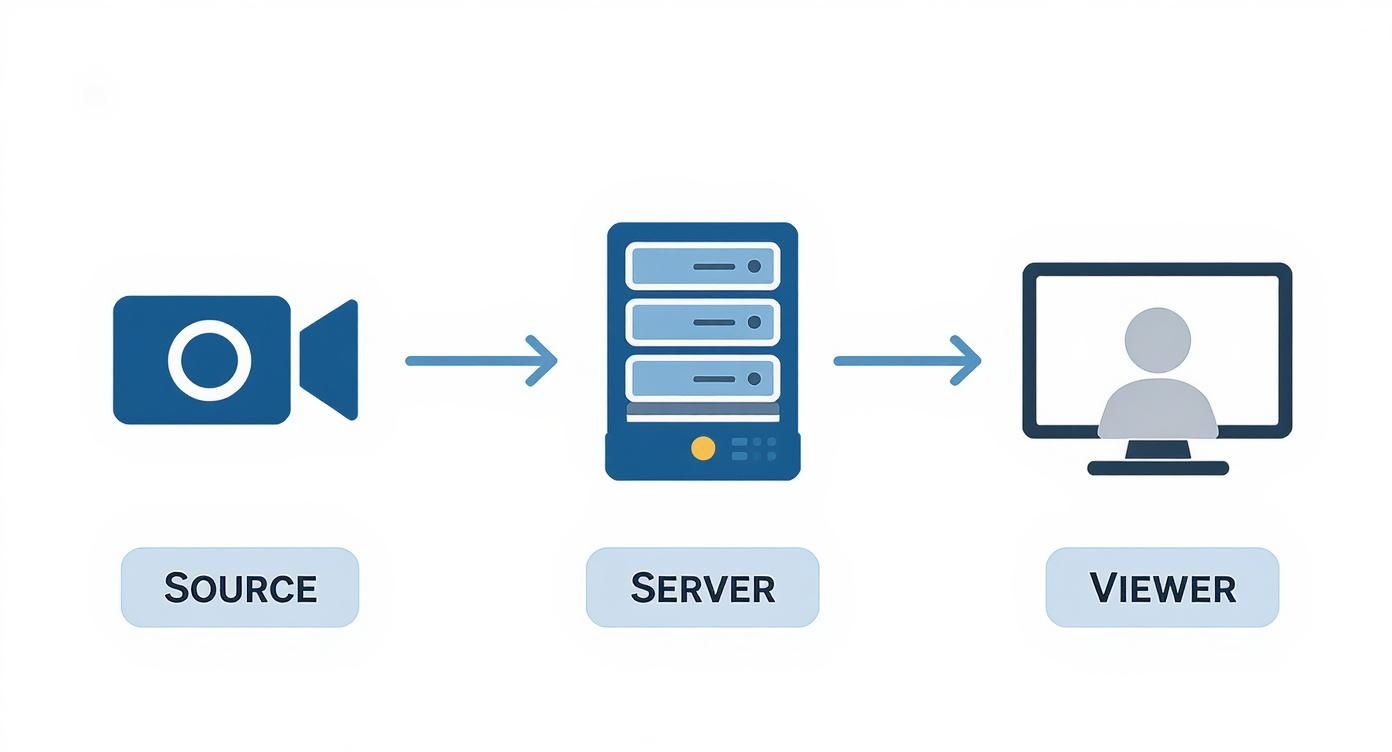 Infographic about streaming video from server