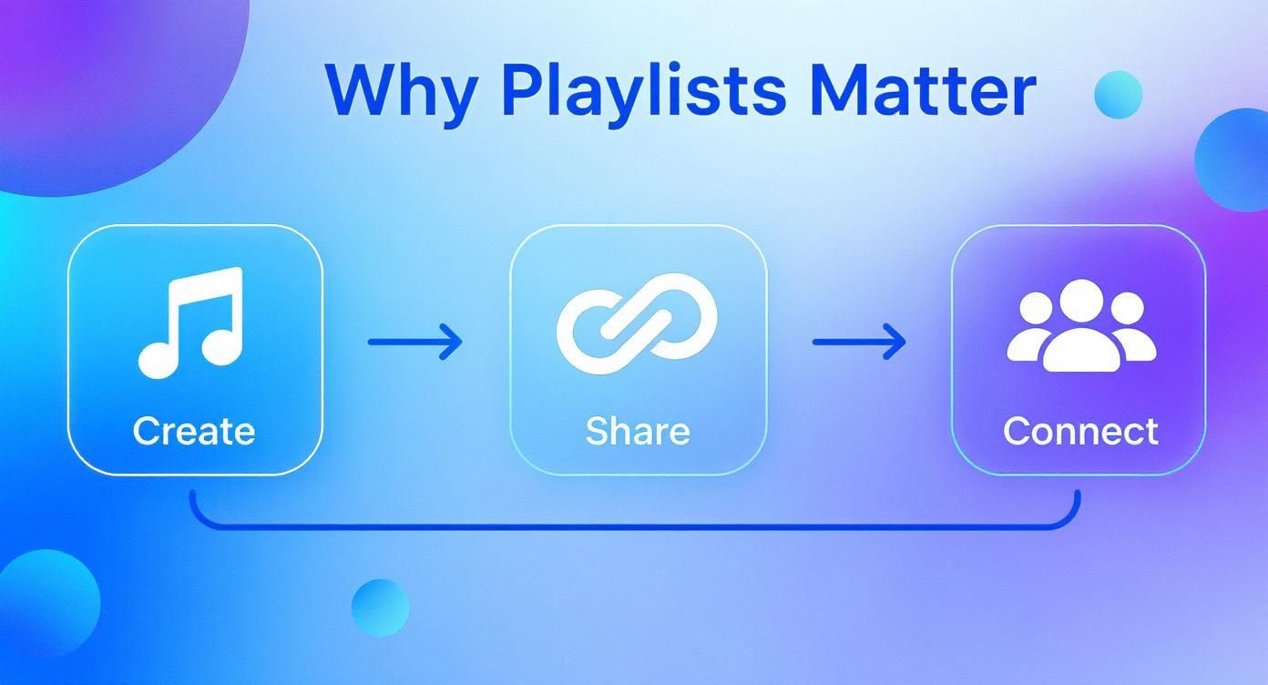 Infographic about share playlist youtube