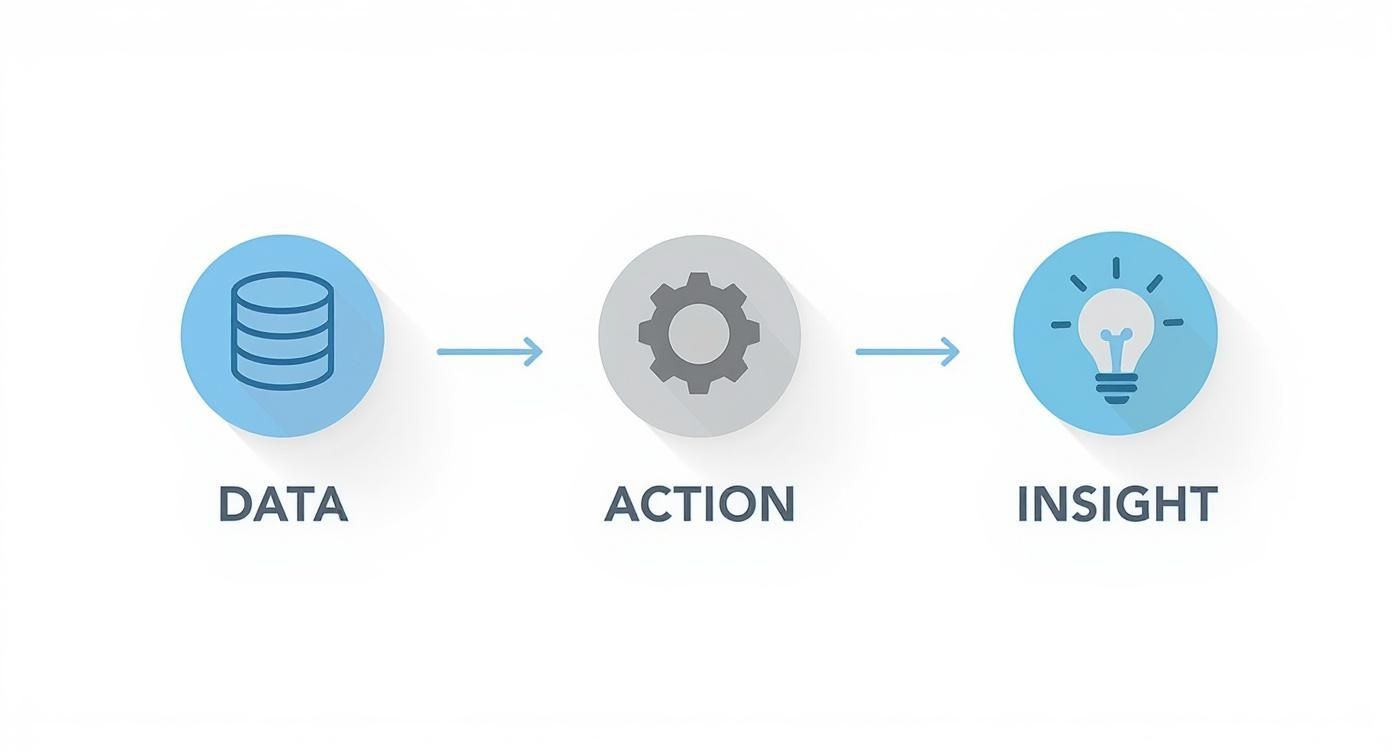 Data to action to insight workflow diagram showing three connected stages with icons for database, gear, and lightbulb