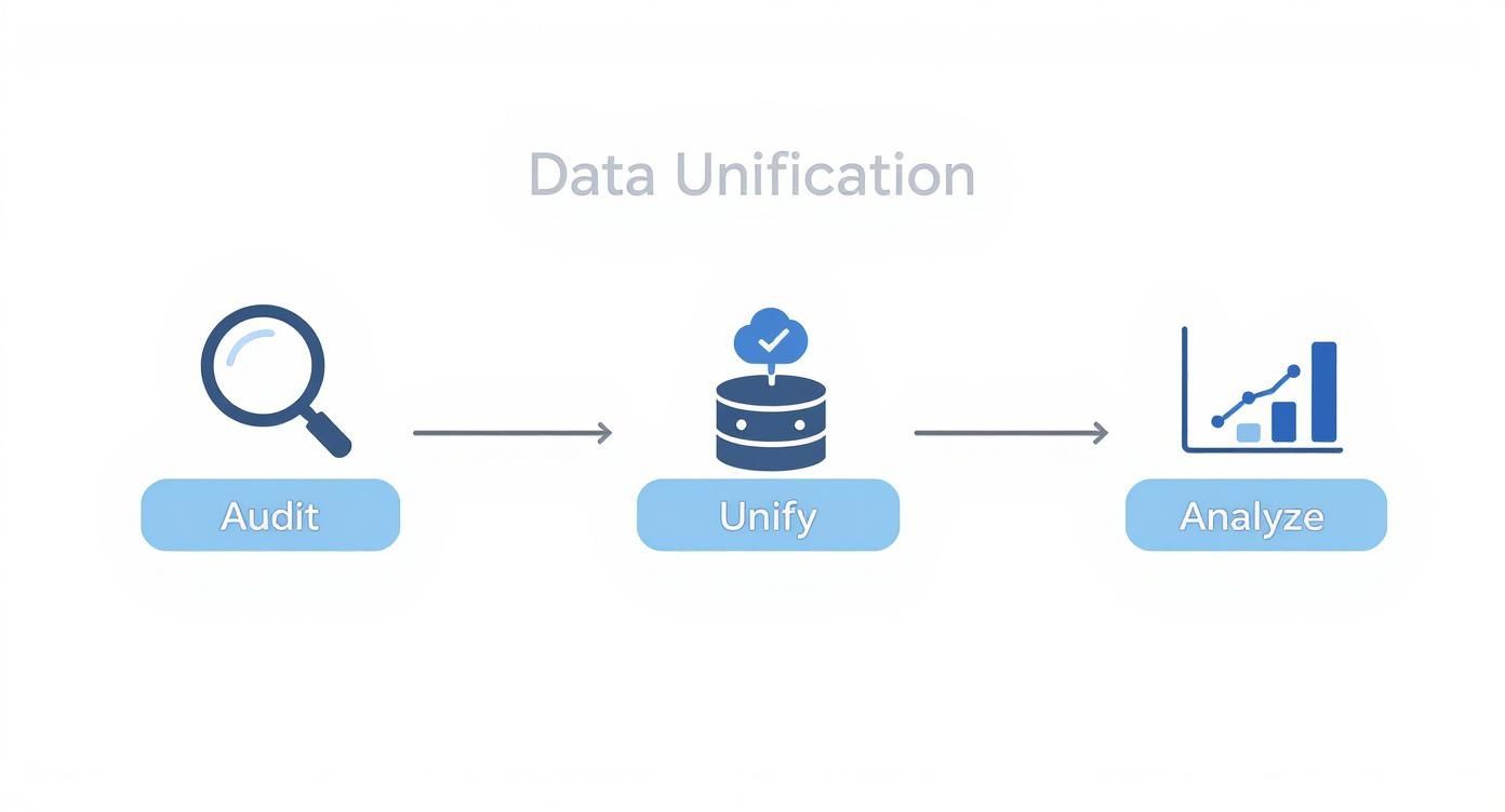 Diagram illustrating the data unification process: audit, unify, and analyze steps with relevant icons.