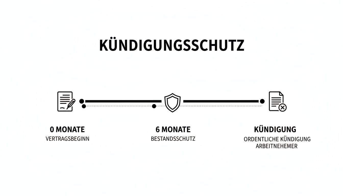 Ein Zeitstrahl visualisiert den Kündigungsschutz mit Phasen von Vertragsbeginn, Bestandschutz und ordentlicher Kündigung.