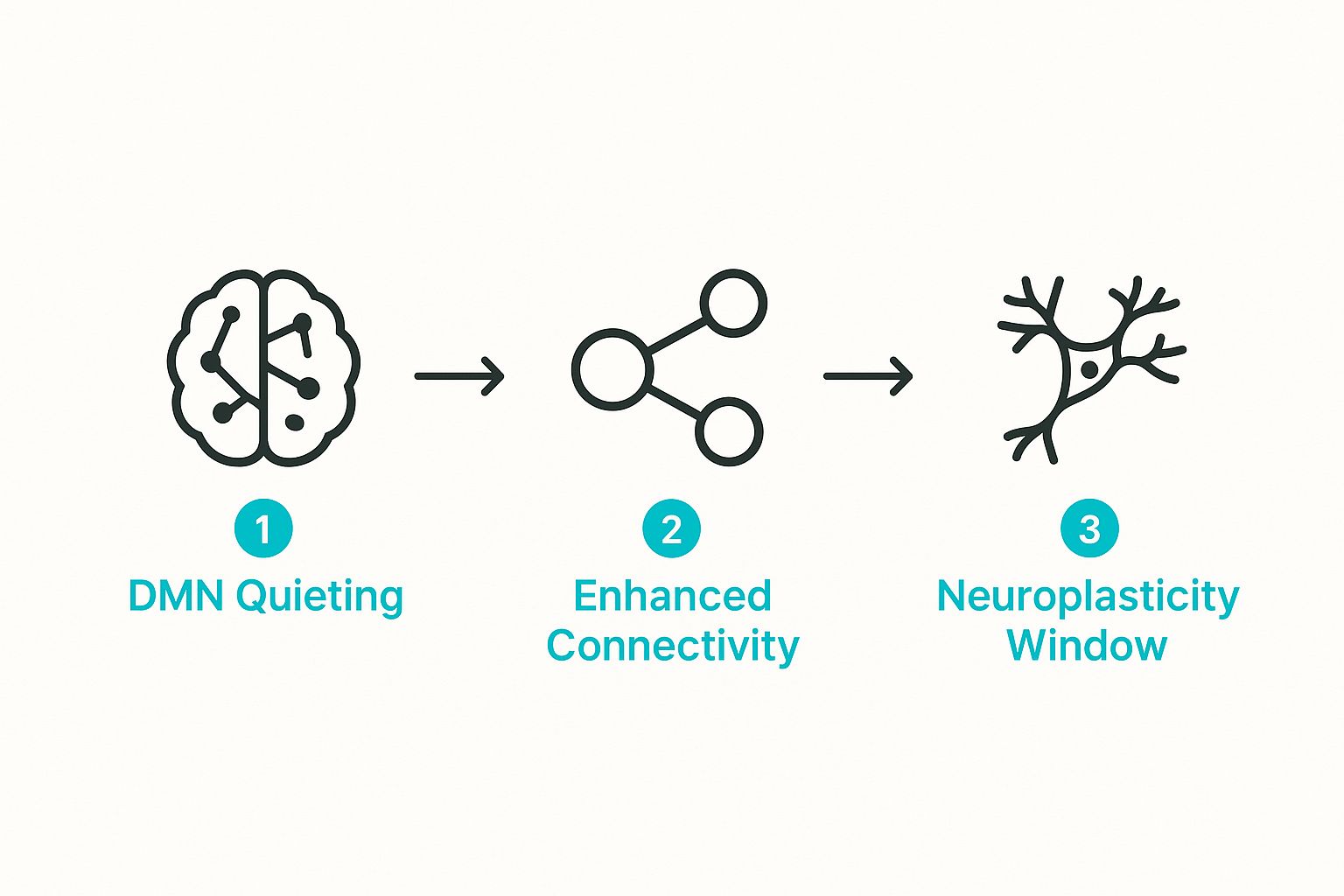 Infographic showing the three-step process of DMN Quieting, Enhanced Connectivity, and creating a Neuroplasticity Window.