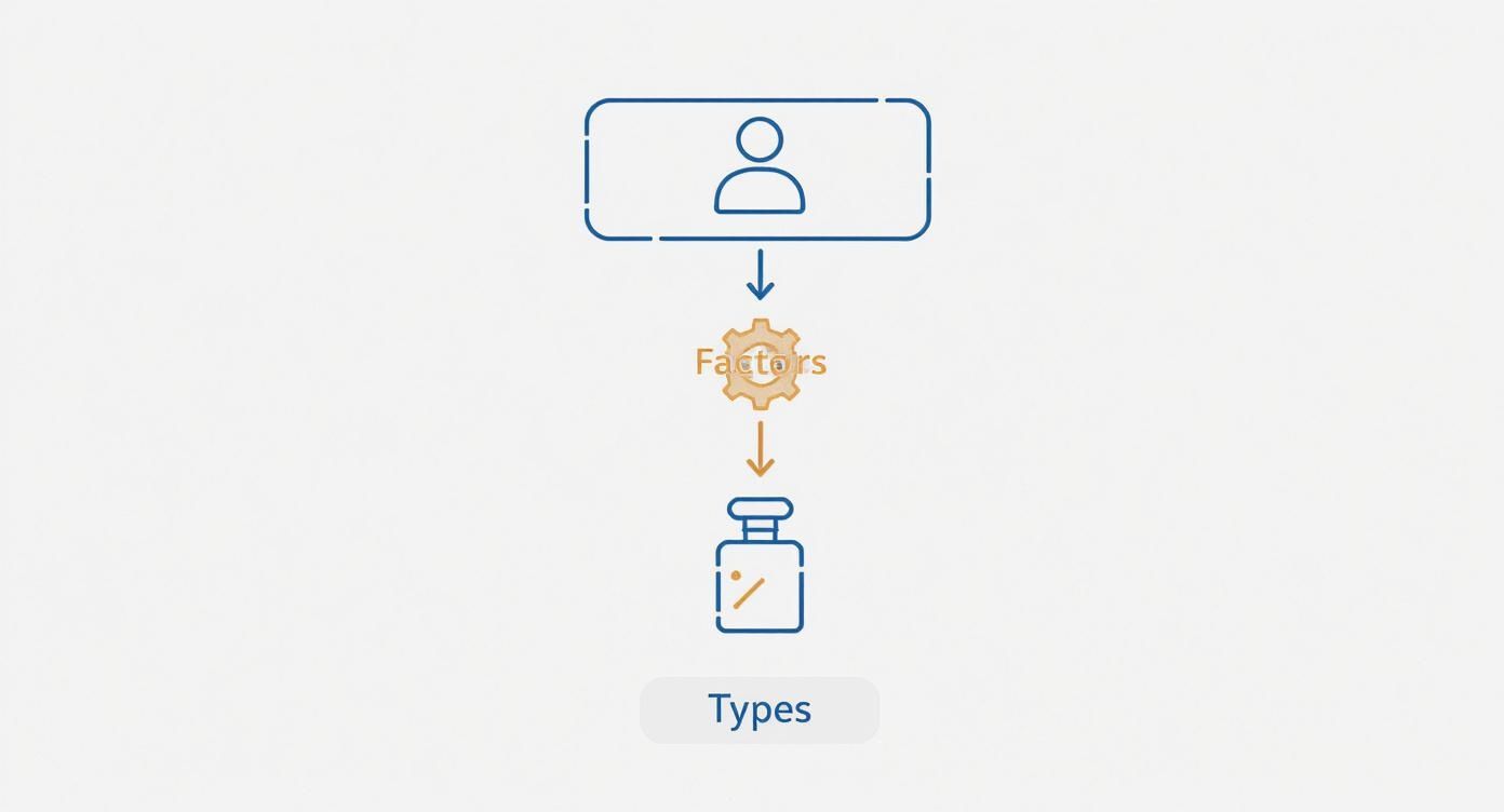 Infographic about what are the best perfumes