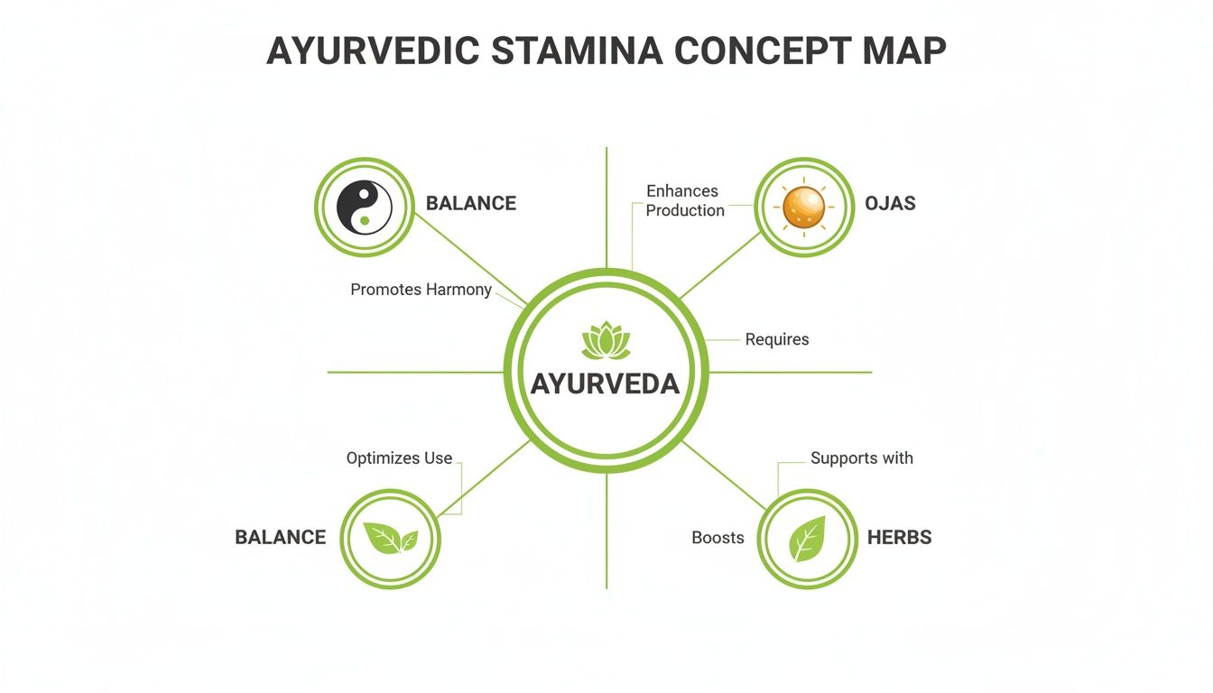 An Ayurvedic stamina concept map showing connections between Ayurveda, balance, Ojas, and herbs.