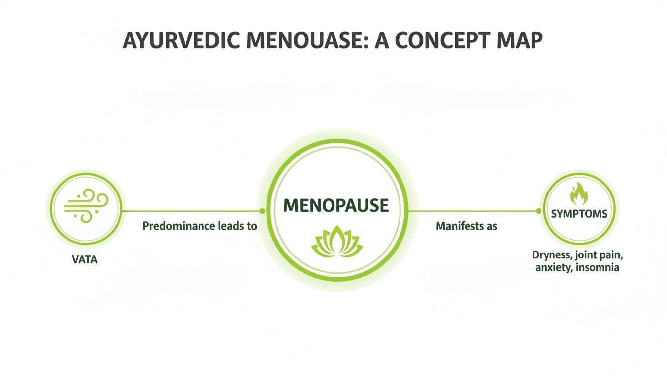 Ayurvedic concept map illustrating Vata predominance leading to menopause symptoms like dryness, anxiety, insomnia.