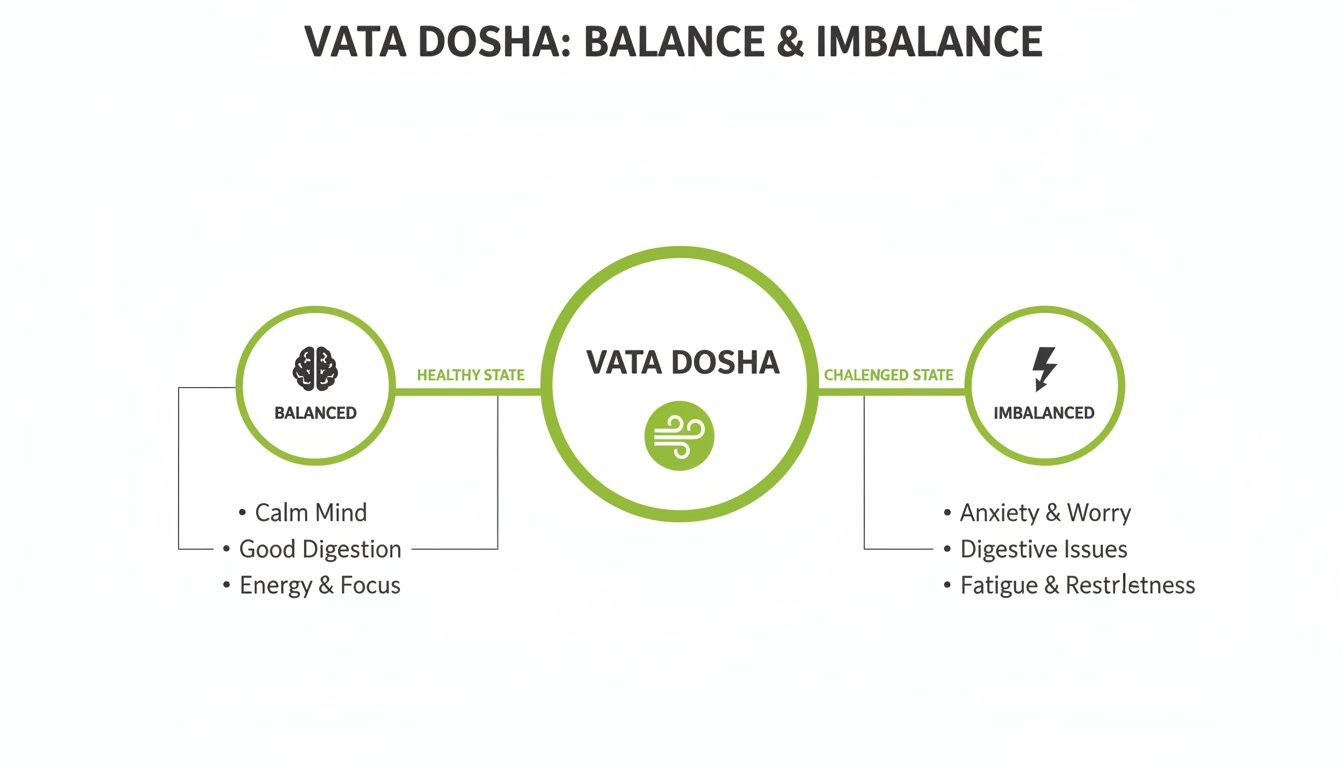 Diagram illustrating Vata Dosha balance with healthy traits and imbalance with challenging symptoms.