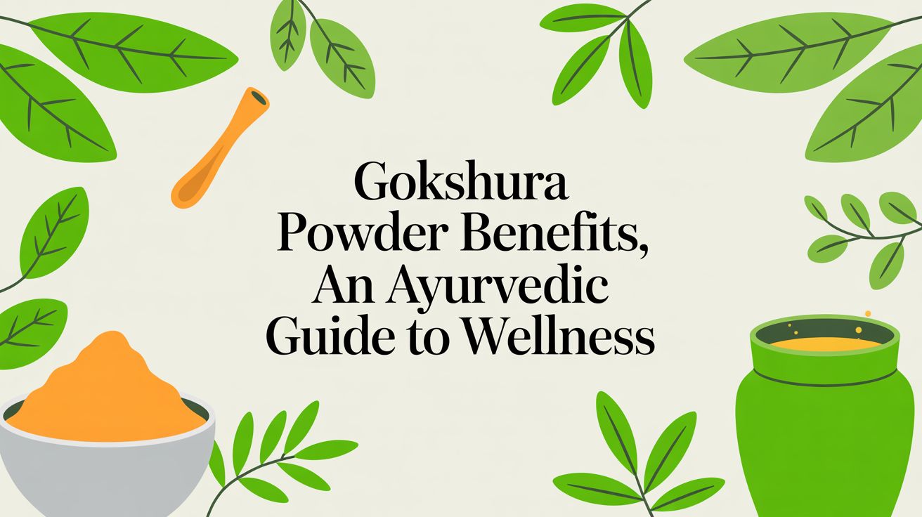 Gokshura Powder Benefits An Ayurvedic Guide to Wellness