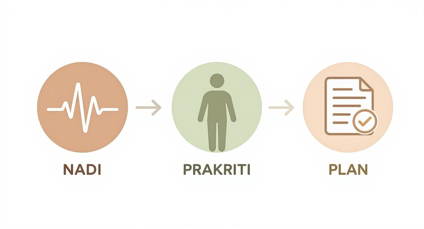 Flowchart showing Nadi pulse diagnosis leading to Prakriti assessment and a personalized treatment plan.