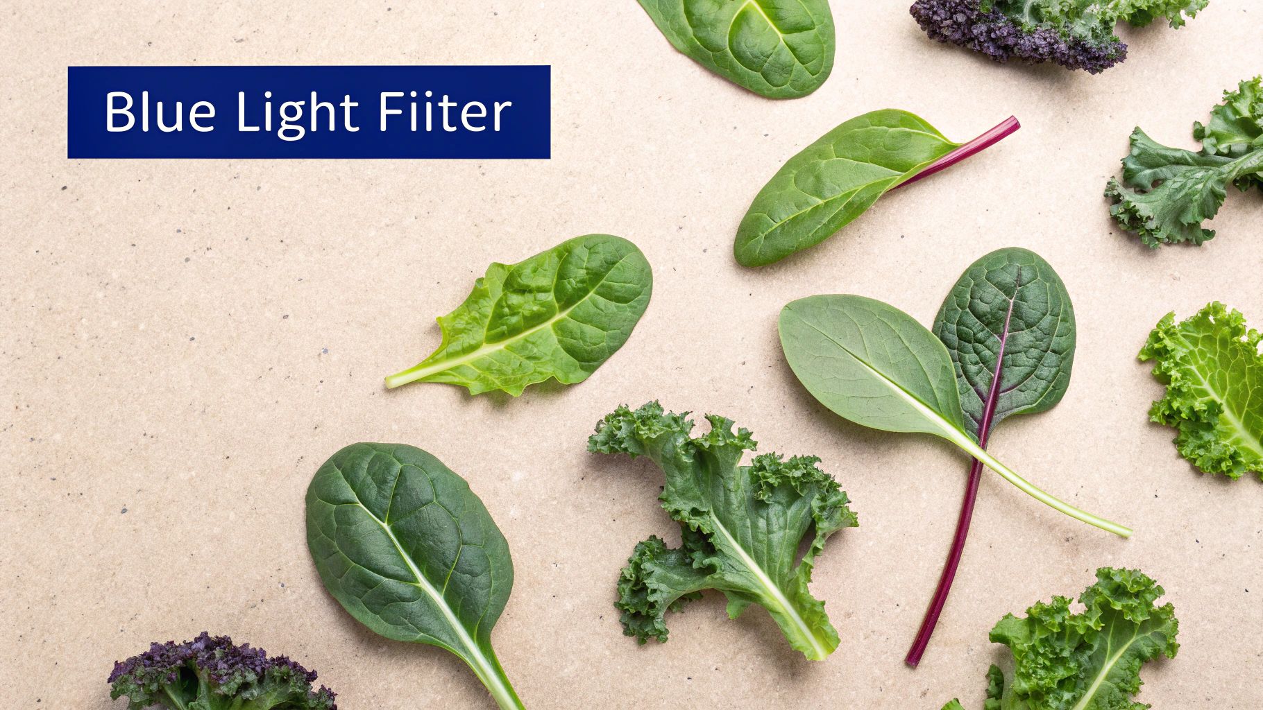 8 Types of Good Food for Eyes: A 2025 Vision Health Guide 1 Leafy Green Vegetables (Spinach, Kale, Collard Greens)