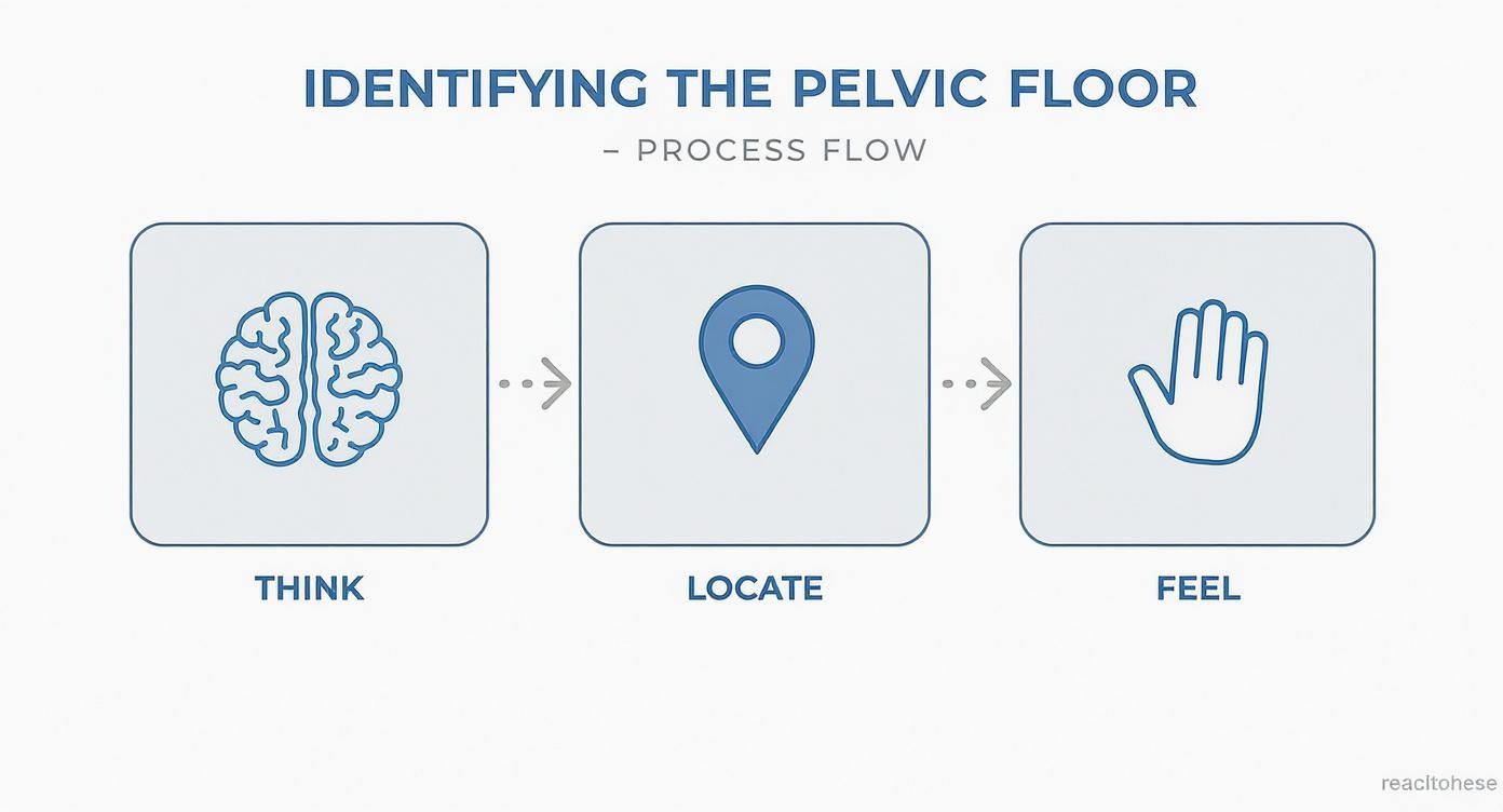 Infographic about how to strengthen pelvic floor muscles
